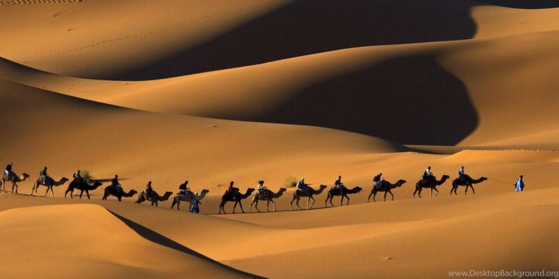 From Casablanca : 12 Day Morocco Classic Tour - Itinerary Highlights