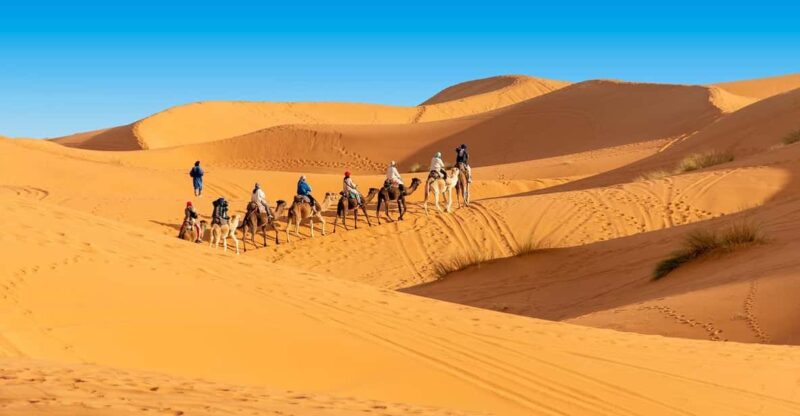 From Casablanca : 13 Day Morocco Classic Tour - Good To Know