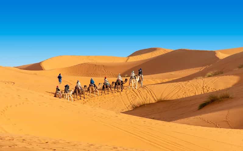 From Casablanca : 13 Day Morocco Classic Tour - Chefchaouen to Fez