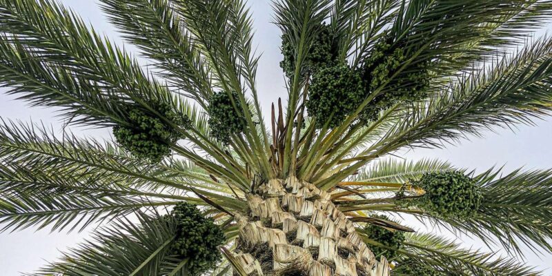 From Casablanca : 13-Days Around Morocco Tour - Packing Essentials