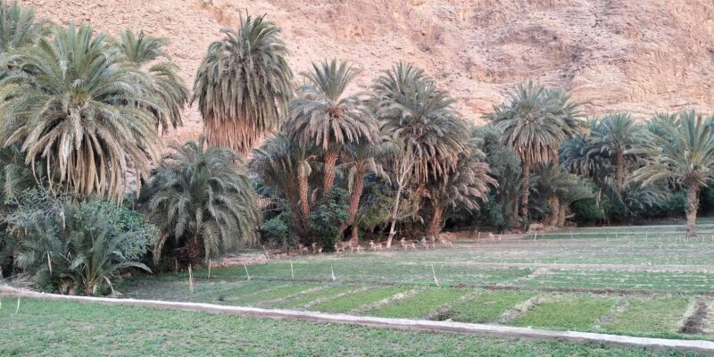 From Casablanca 2 Days Tour To Marrakech City - Itinerary Highlights: Day 2