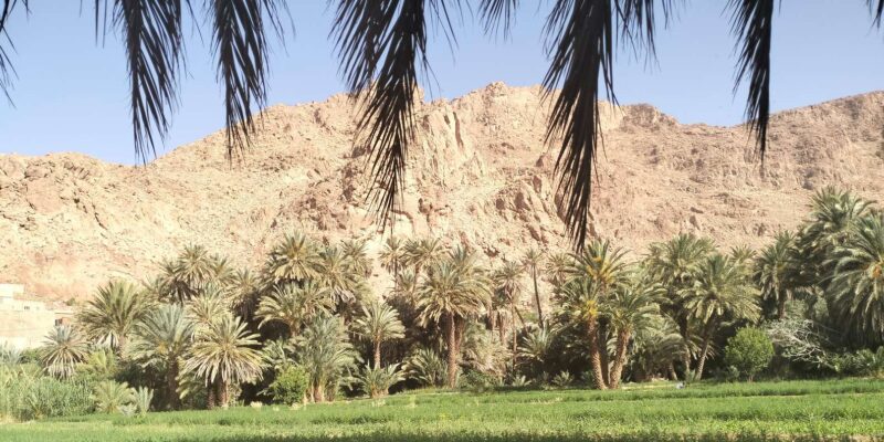 From Casablanca 2 Days Tour To Marrakech City - Included in the Tour