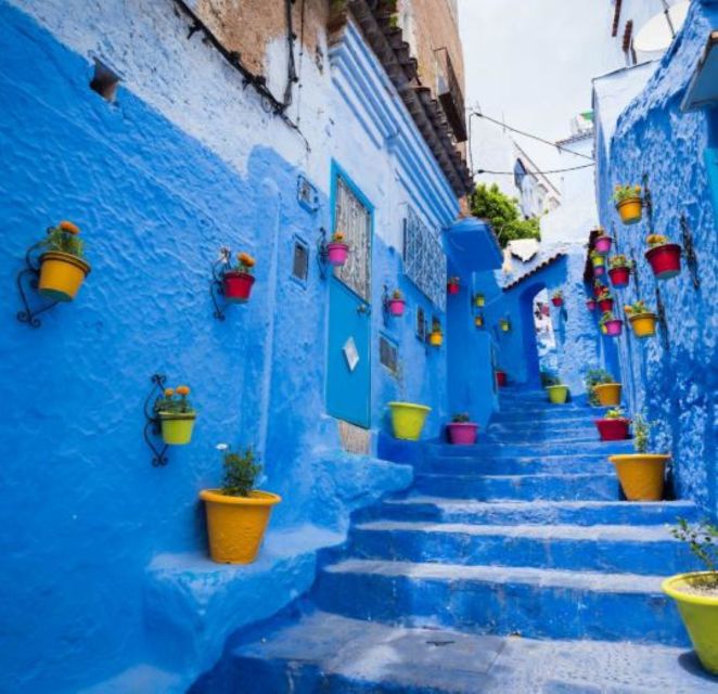 From Casablanca: 3-Day Private Tour to Chefchaouen and Fez - Customer Feedback