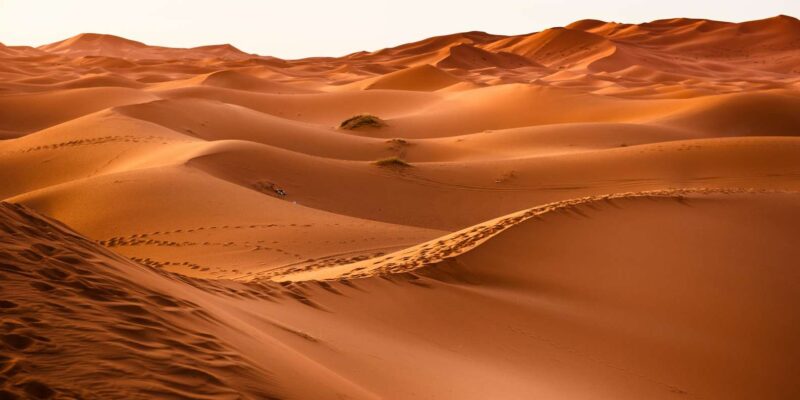 From Casablanca : 7 Days Exploring Tour in Morocco - Itinerary Highlights
