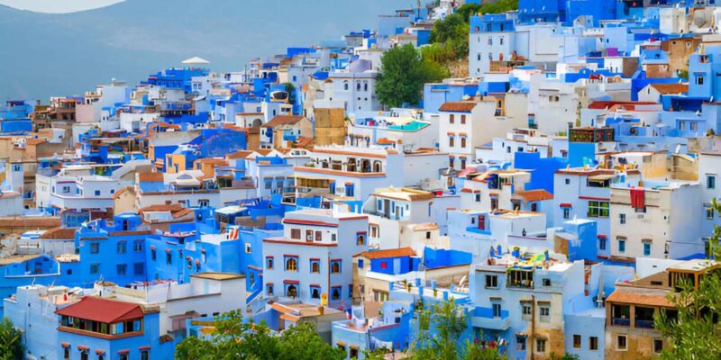 From Casablanca: 8-Day Tour to Marrakech via Chefchaouen - Discovering Historic Fes