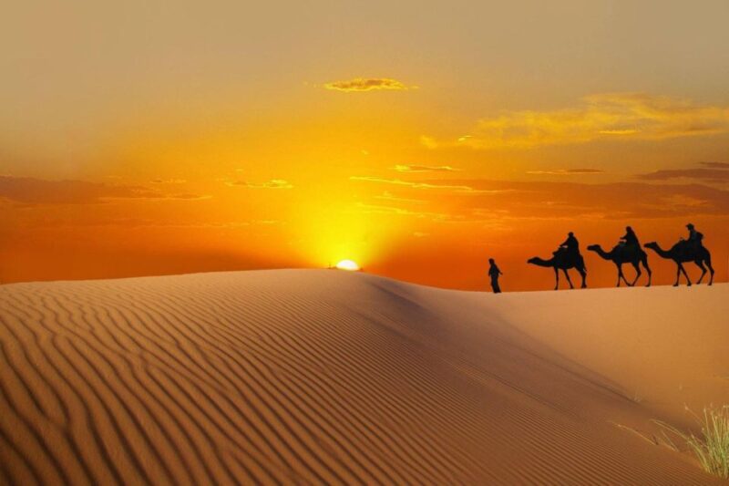 From Casablanca: 8 Days Chefchaouen, Fes & Desert Adventure - Fes to Merzouga