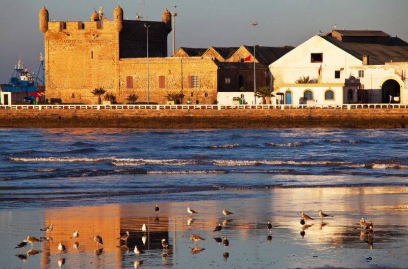 From Casablanca: Day Trip to Essaouira - Leisure Time at the Beaches