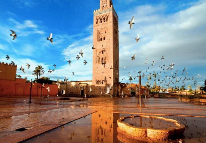 From Casablanca: Private 12 Days Trip To Desert & Marrakech - Good To Know