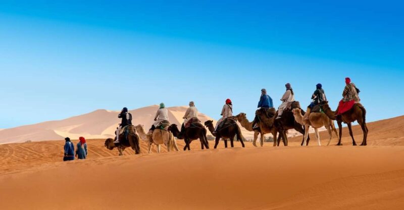 From Casablanca to Fes & Sahara: 6-Day Immersive Expedition - Included Services