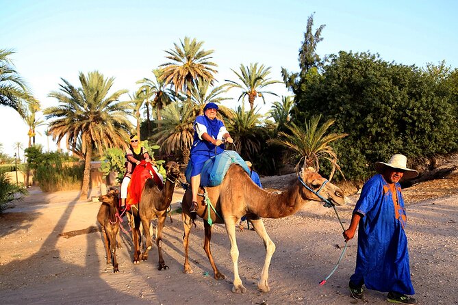 From Casablanca to Marrakech: A Day of History and Culture. - Transportation and Comfort