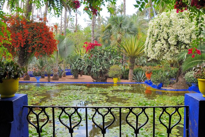 From Casablanca to Marrakech: A Day of History and Culture. - Accessibility Features