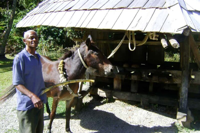 From Castries: Full-Day Catamaran Tour to Soufriere - Setting the Scene: What’s Included and How It Works