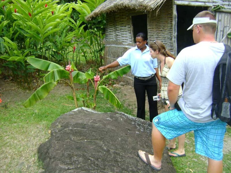 From Castries: Full-Day Catamaran Tour to Soufriere - FAQ: Your Questions Answered