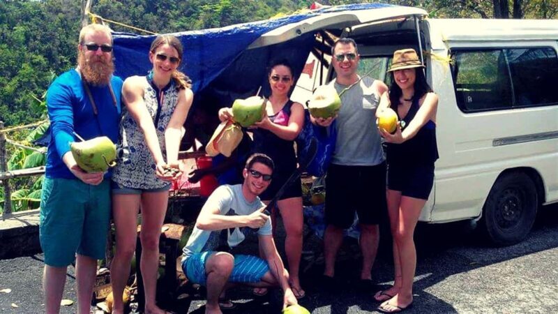 From Castries: St.Lucia Island Guided Tour - Key Points