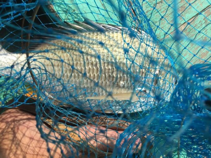 From Cat Ba Island: Private Full Day Fishing Tour Lan Ha Bay - Free Cancellation and Flexible Booking