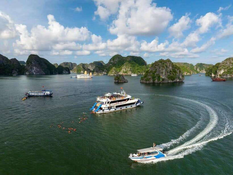 From Cat Ba: Lan Ha and Monkey Island Full Day Boat Trip - Tour Overview and Pricing