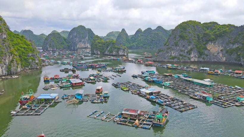 From Cat Ba: Lan Ha and Monkey Island Full Day Boat Trip - Frequently Asked Questions