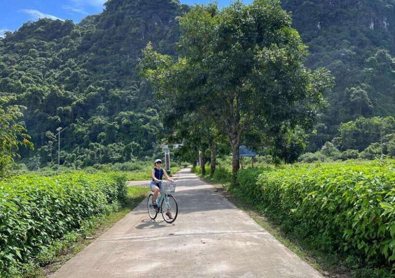 From Cat Ba: Lan Ha Bay Day Trip With Kayaking, Biking& Meal - What to Expect During the Tour