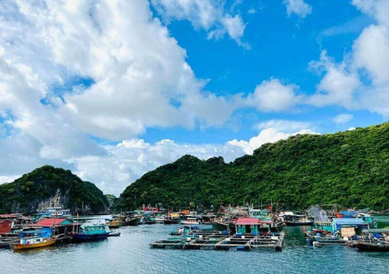 From Cat Ba: Lan Ha Bay Day Trip With Kayaking, Biking& Meal - Important Information for Travelers