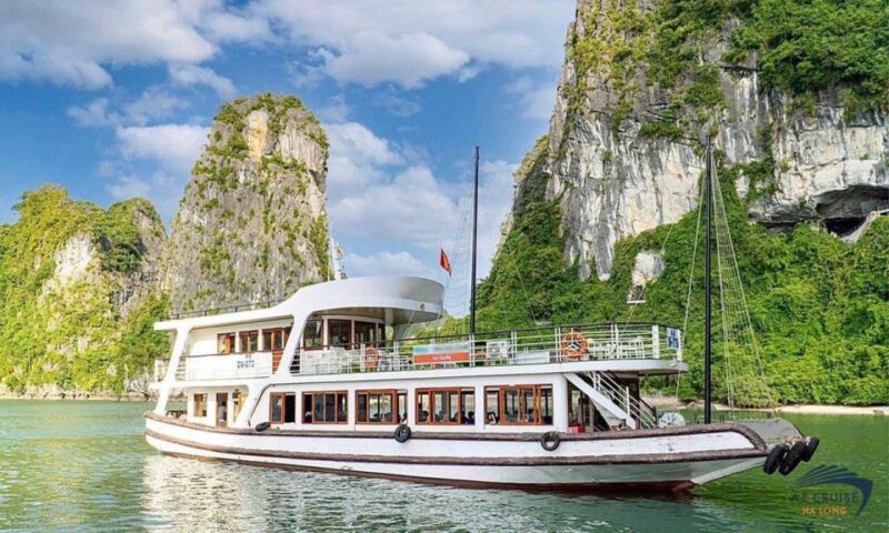 From Cat Ba or Hanoi: Lan Ha Bay Day Trip & Cooking Class - Included Services