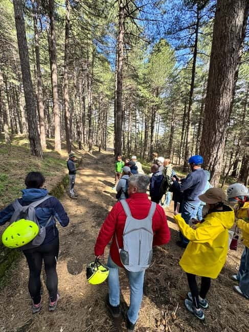 From Catania: Etna Trekking 2000m With Pick-up - Key Points