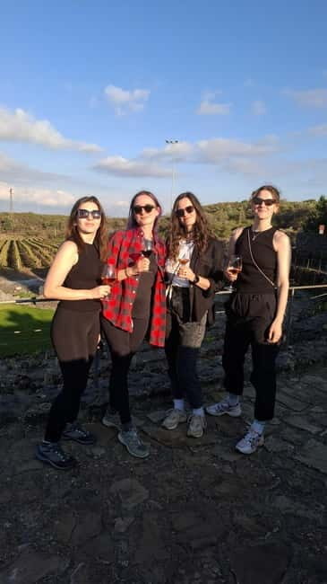 From Catania: Etna Trekking & Wine Tasting Tour with Pickup - Key Points