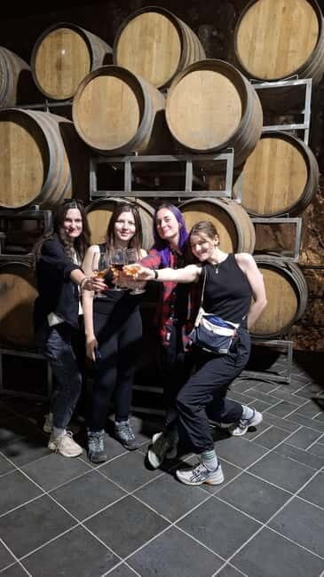 From Catania: Etna Trekking & Wine Tasting Tour with Pickup - A Deep Dive into the Experience