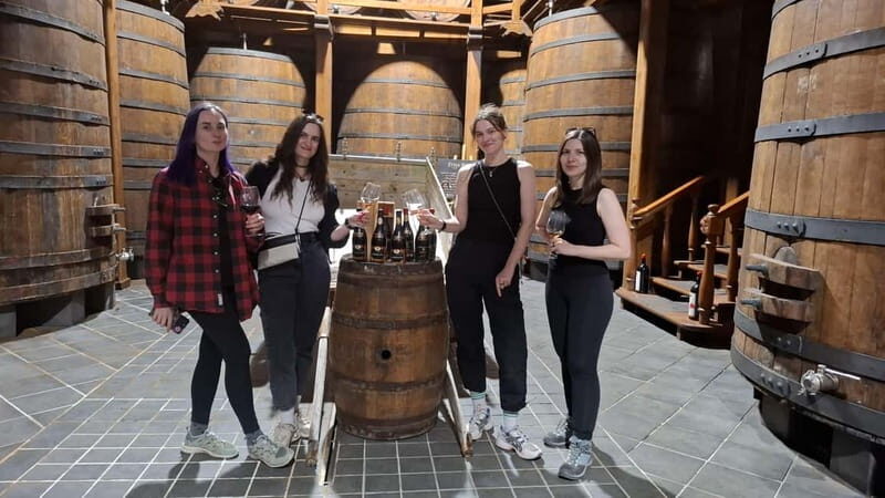 From Catania: Etna Trekking & Wine Tasting Tour with Pickup - Final Thoughts
