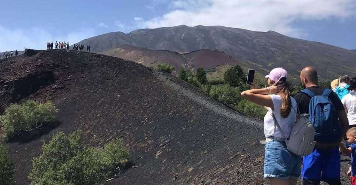 From Catania: Guided Hike on Etna, Wines and Nibbles - Key Points