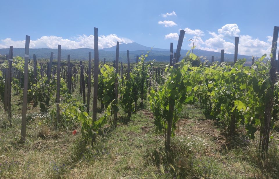 From Catania: Guided Hike on Etna, Wines and Nibbles - Gear up With Helmet and Flashlight