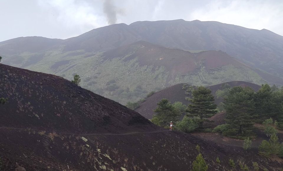 From Catania: Guided Hike on Etna, Wines and Nibbles - Duration and Meeting Point