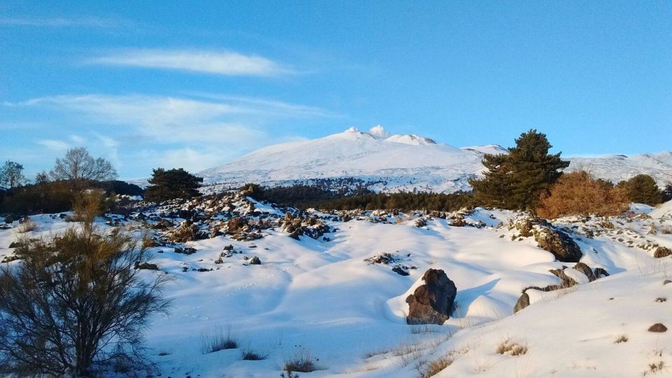 From Catania: Guided Tour of Mount Etna and Taormina - Highlights of Mount Etna Exploration