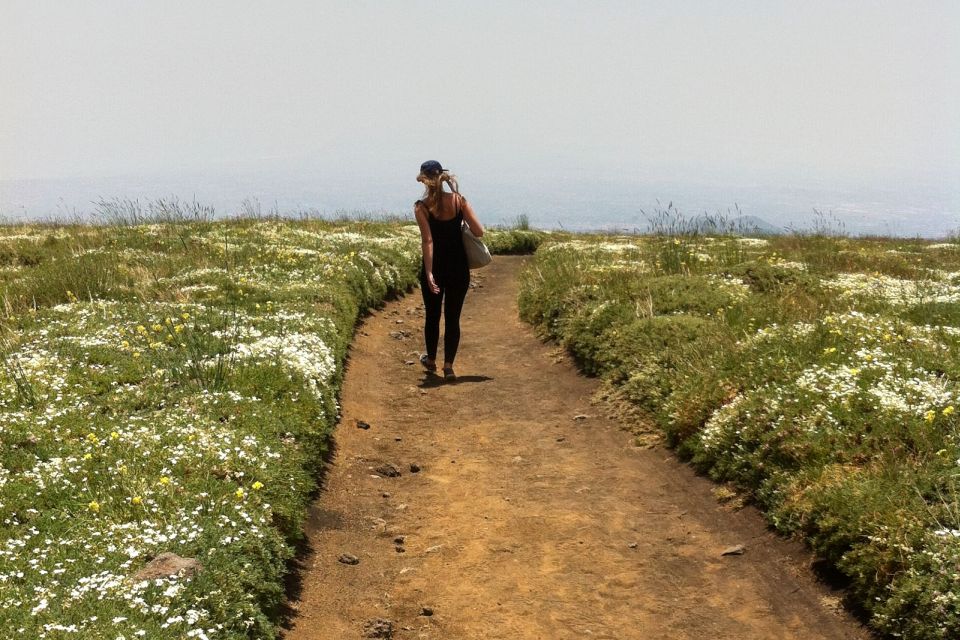 From Catania: Mount Etna Half-Day Tour and Wine Experience - Exploring a Lava Cave