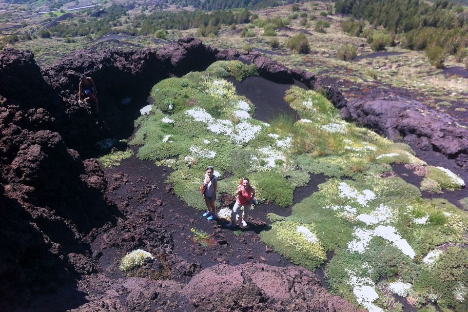 From Catania: Mount Etna Half-Day Tour and Wine Experience - Wine Tasting Experience