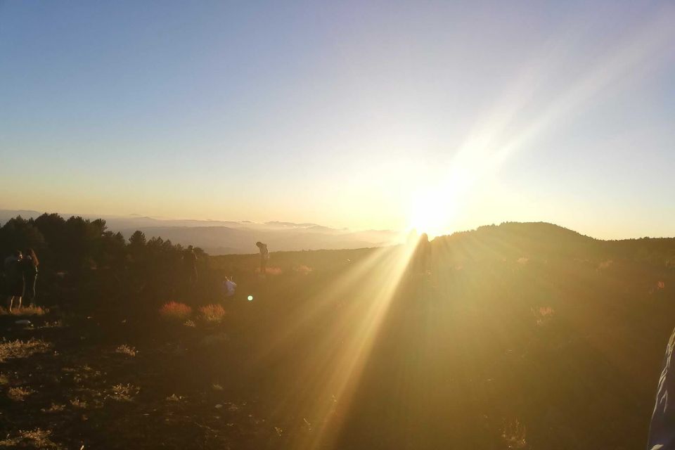 From Catania: Mount Etna Sunset Tour With Tasting and Cave - Experience and Activities