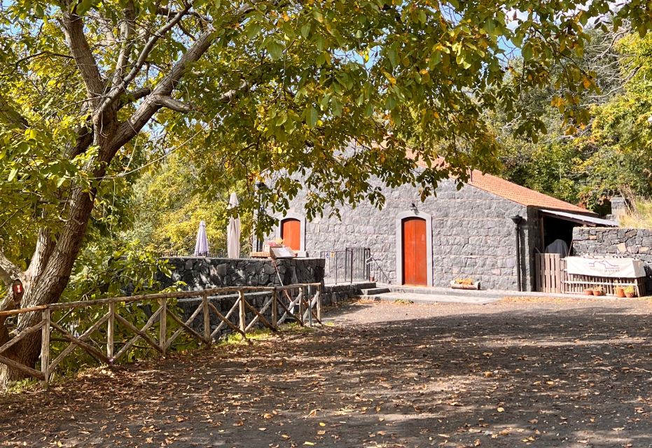 From Catania: Mt. Etna Picnic and Wine Tasting - Wine Tasting in Local Cellars