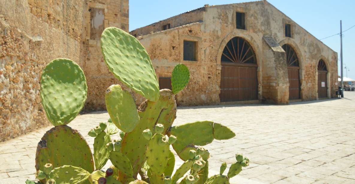 From Catania: Syracuse, Ortigia & Marzamemi Full-day Tour - Key Points