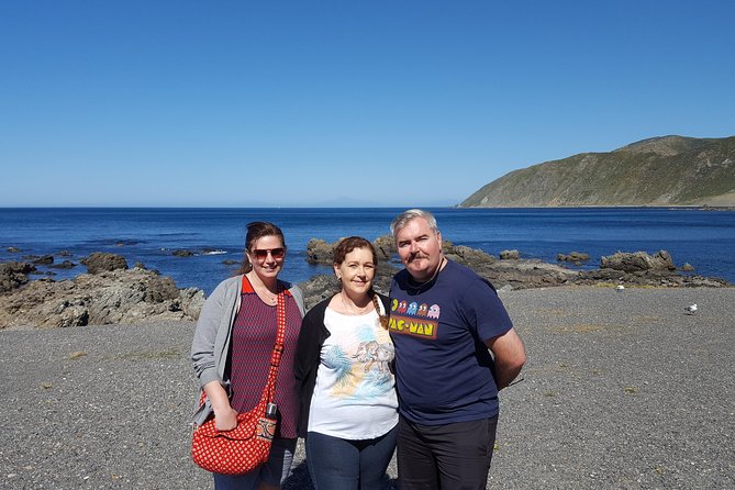 From Cave to Coast Wellington Highlights Tour - Accessibility Features