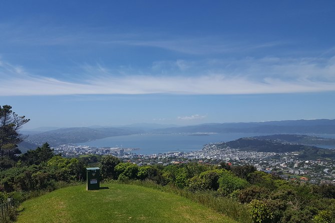 From Cave to Coast Wellington Highlights Tour - Recommended Activities in Wellington