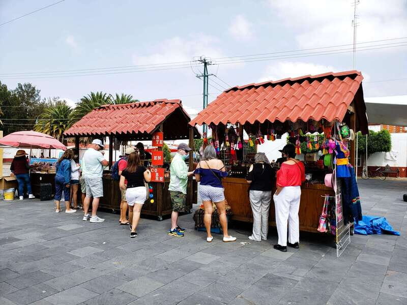 FROM CDMX: Puebla, Oaxaca, Veracruz, Chiapas, Villahermosa 9 DAYS - Who This Tour Is Best For