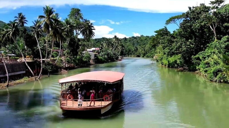 From Cebu: Bohol Countryside & Buffet Lunch Exclusive Tour - Key Points