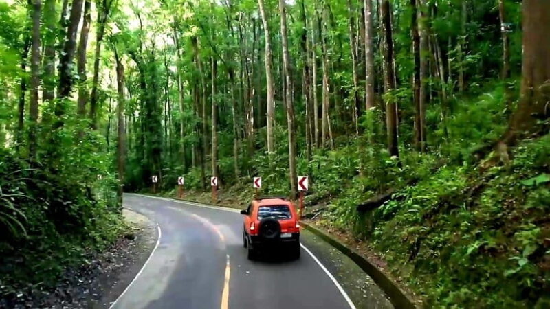 From Cebu: Bohol Countryside & Buffet Lunch Exclusive Tour - An In-Depth Look at the Bohol Day Tour from Cebu