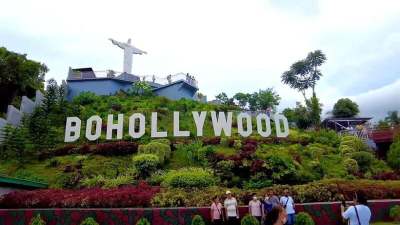 From Cebu: Bohol Countryside & Buffet Lunch Exclusive Tour - Who Would Love This Tour?