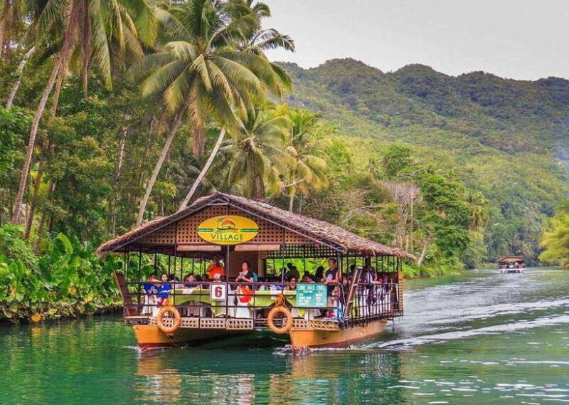 From Cebu: Bohol Countryside Tour Day Trip with Buffet Lunch - Real Traveler Perspectives