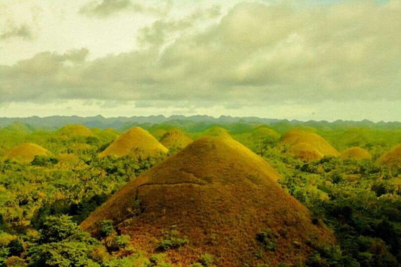 From Cebu: Bohol Countryside Tour Day Trip with Buffet Lunch - The Sum Up: Is This Tour Right for You?