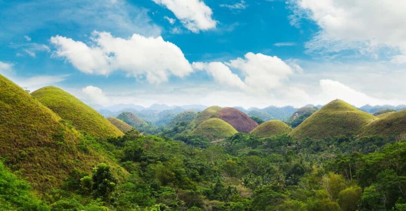 From Cebu: Day Trip to Bohol Highlights - Key Points