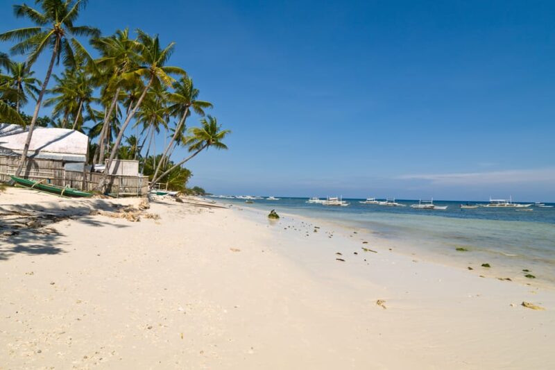 From Cebu: Day Trip to Bohol Highlights - Experience and Amenities