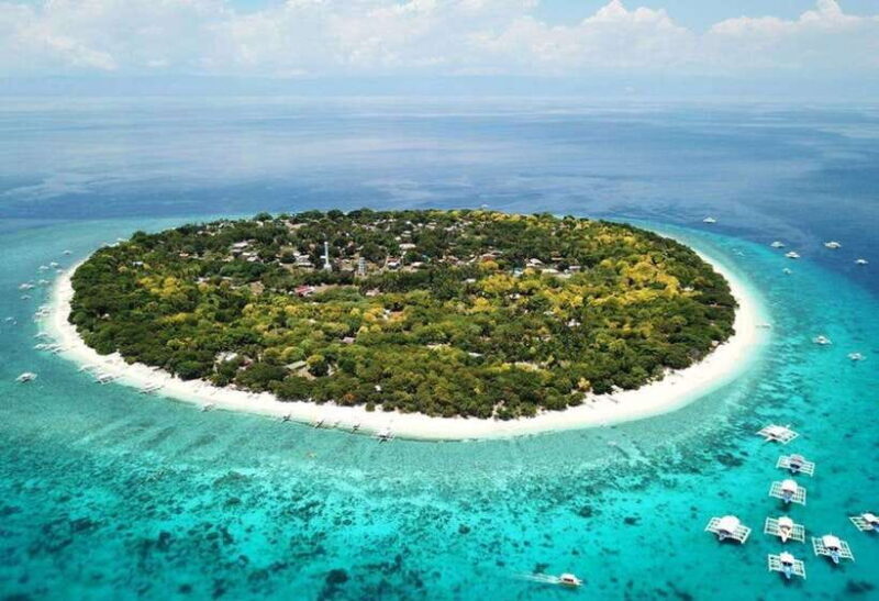 From Cebu:Pamilacan, Virgin Island, Dolphin Watching & Lunch - A Practical Guide to the Cebu Pamilacan & Virgin Island Tour  