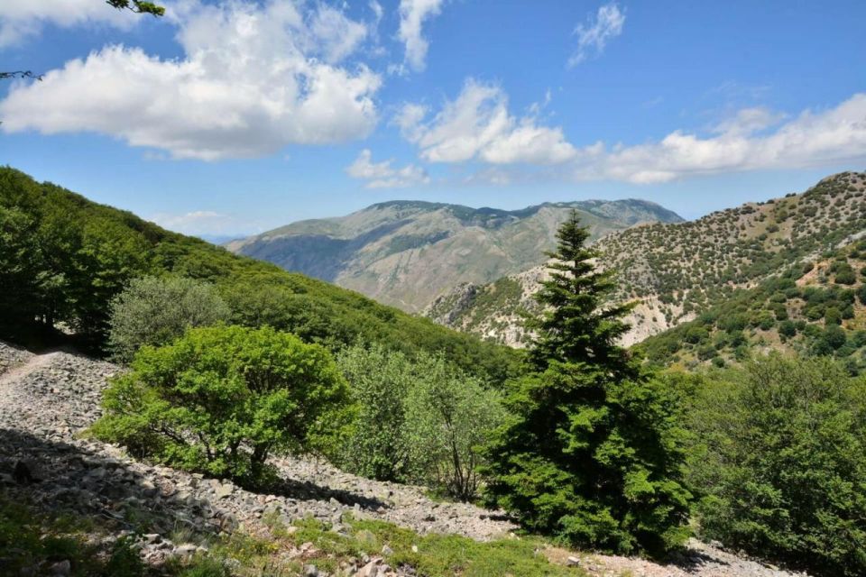 From Cefalù: Authentic Sicilian Villages and Happy Hour - Booking and Cancellation Policy