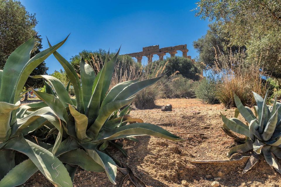 From Cefalù: Guided Tour to Agrigento Valley of the Temples - Itinerary and Transportation Details